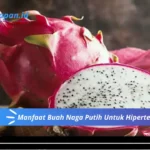 Manfaat Buah Naga Putih Untuk Hipertensi