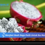 Manfaat Buah Naga Putih Untuk Ibu Hamil