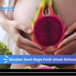 Manfaat Buah Naga Putih Untuk Kehamilan