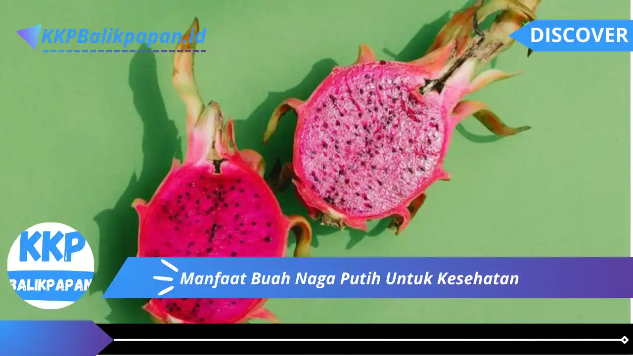 Manfaat Buah Naga Putih Untuk Kesehatan