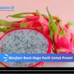 Manfaat Buah Naga Putih Untuk Promil