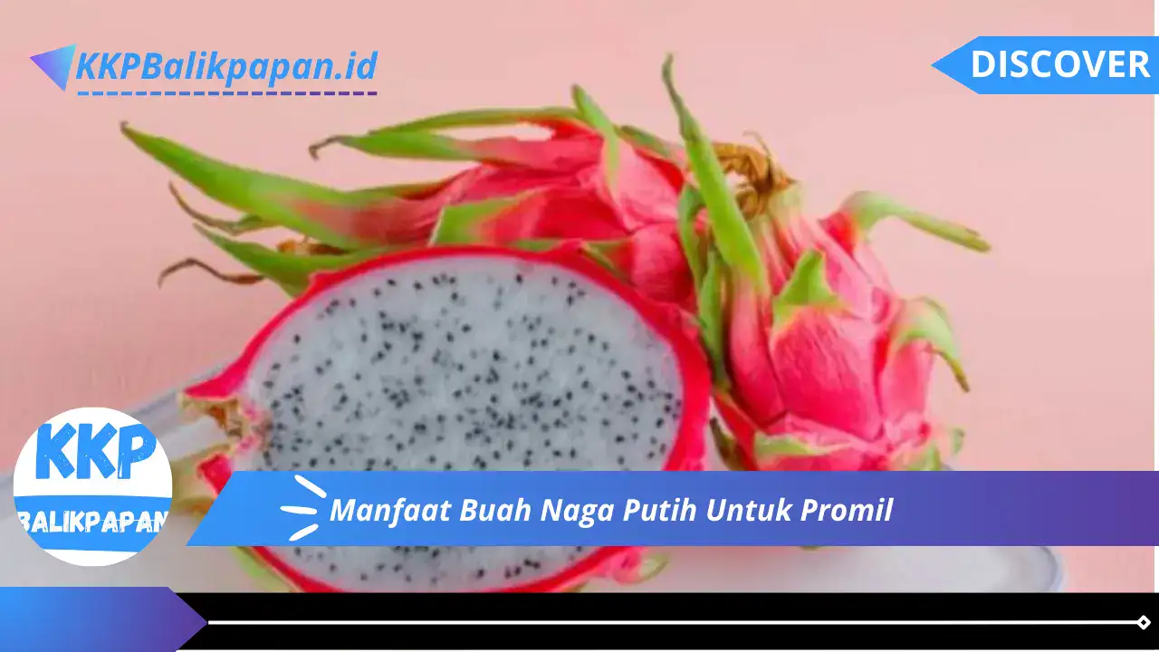 Manfaat Buah Naga Putih Untuk Promil