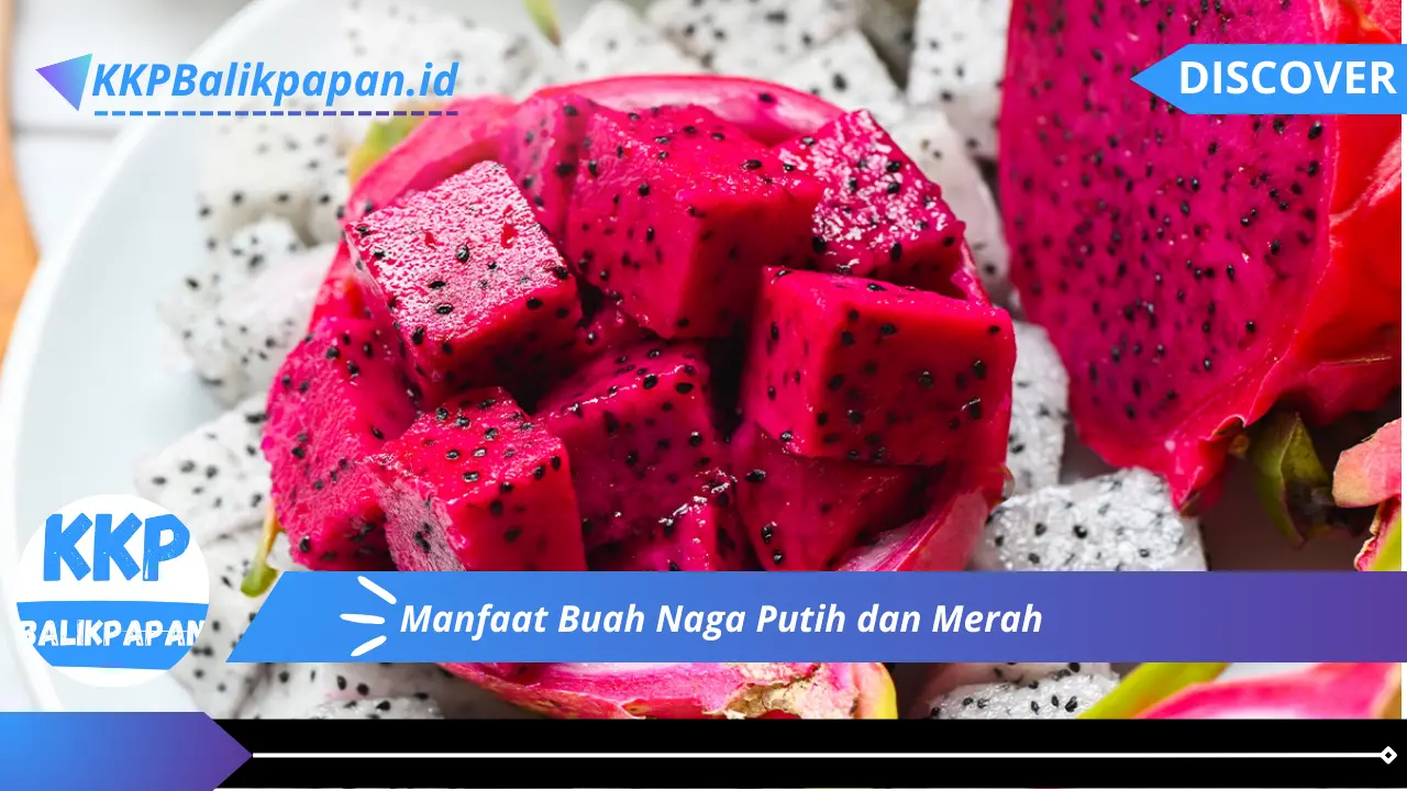 Manfaat Buah Naga Putih dan Merah