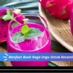 Manfaat Buah Naga Ungu Untuk Kecantikan