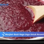 Manfaat Buah Naga Ungu Untuk Kecantikan Wajah