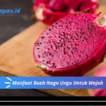 Manfaat Buah Naga Ungu Untuk Wajah