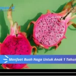 Manfaat Buah Naga Untuk Anak 1 Tahun