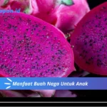 Manfaat Buah Naga Untuk Anak