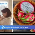 Manfaat Buah Naga Untuk Bayi