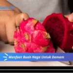 Manfaat Buah Naga Untuk Demam