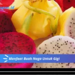 Manfaat Buah Naga Untuk Gigi