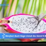 Manfaat Buah Naga Untuk Ibu Hamil 9 Bulan