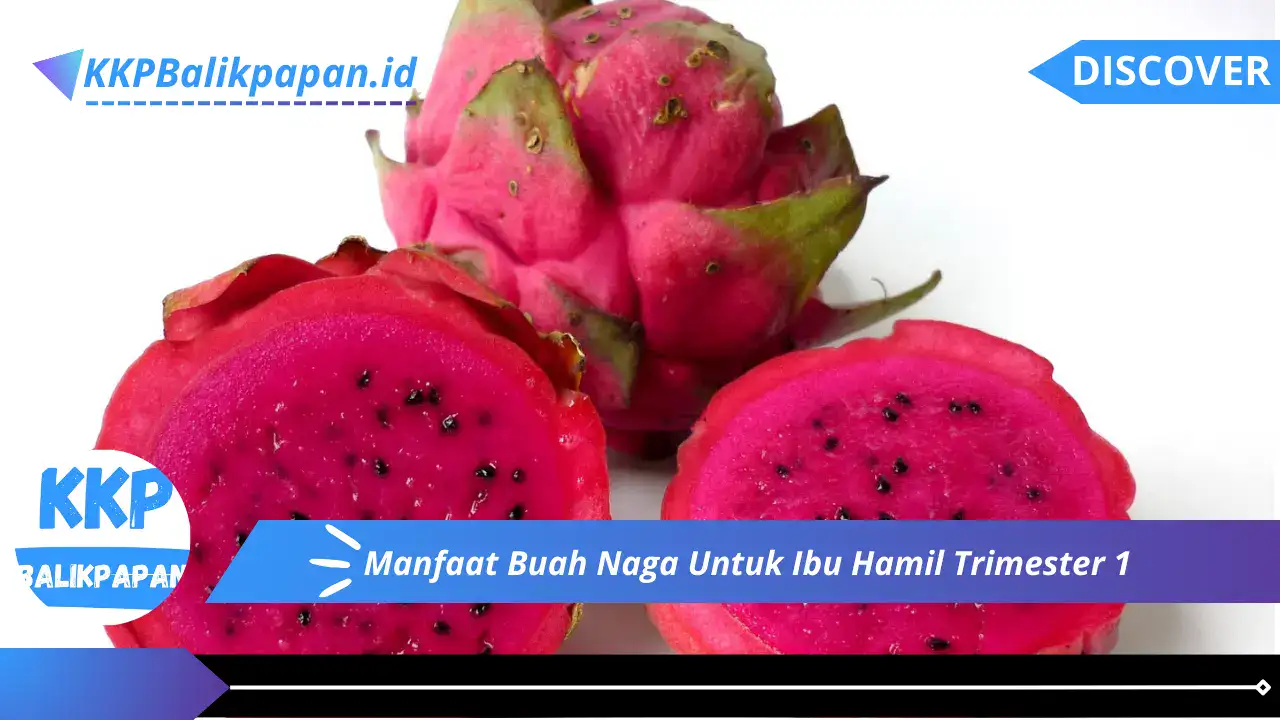 Manfaat Buah Naga Untuk Ibu Hamil Trimester 1