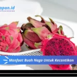 Manfaat Buah Naga Untuk Kecantikan