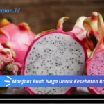 Manfaat Buah Naga Untuk Kesehatan Badan