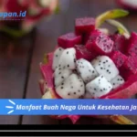 Manfaat Buah Naga Untuk Kesehatan Jantung