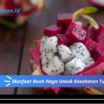 Manfaat Buah Naga Untuk Kesehatan Tubuh