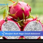 Manfaat Buah Naga Untuk Kolesterol