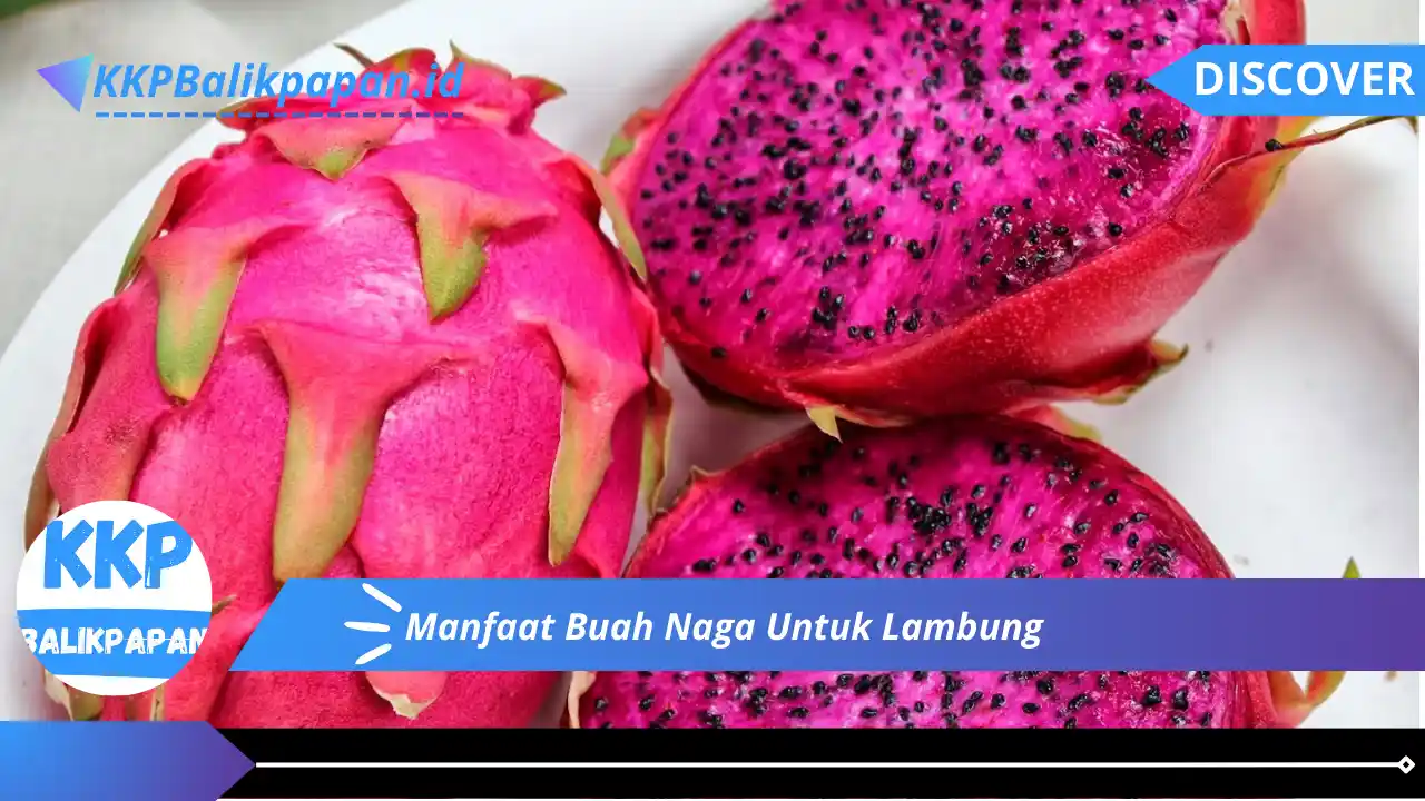 Manfaat Buah Naga Untuk Lambung