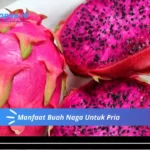 Manfaat Buah Naga Untuk Pria