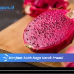 Manfaat Buah Naga Untuk Promil