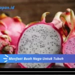 Manfaat Buah Naga Untuk Tubuh