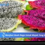 Manfaat Buah Naga Untuk Wajah Yang Berjerawat