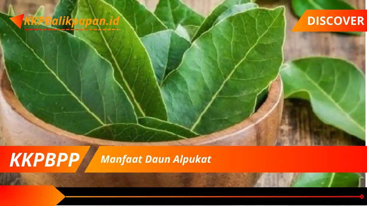 Manfaat Daun Alpukat