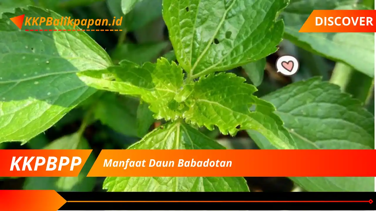 Manfaat Daun Babadotan