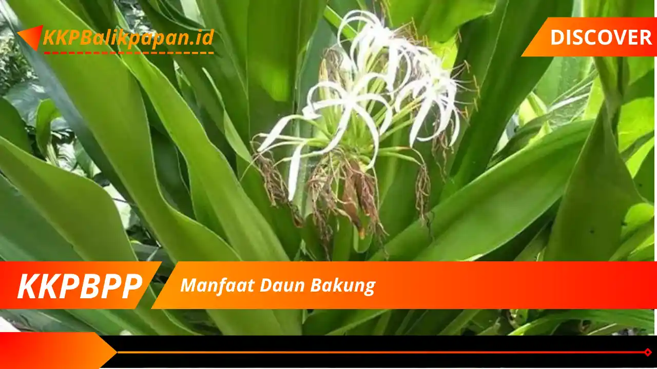 Manfaat Daun Bakung