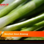 Manfaat Daun Bawang