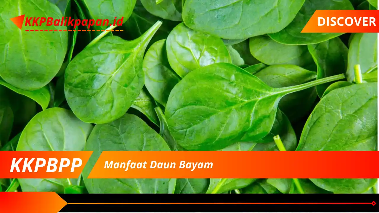 Manfaat Daun Bayam