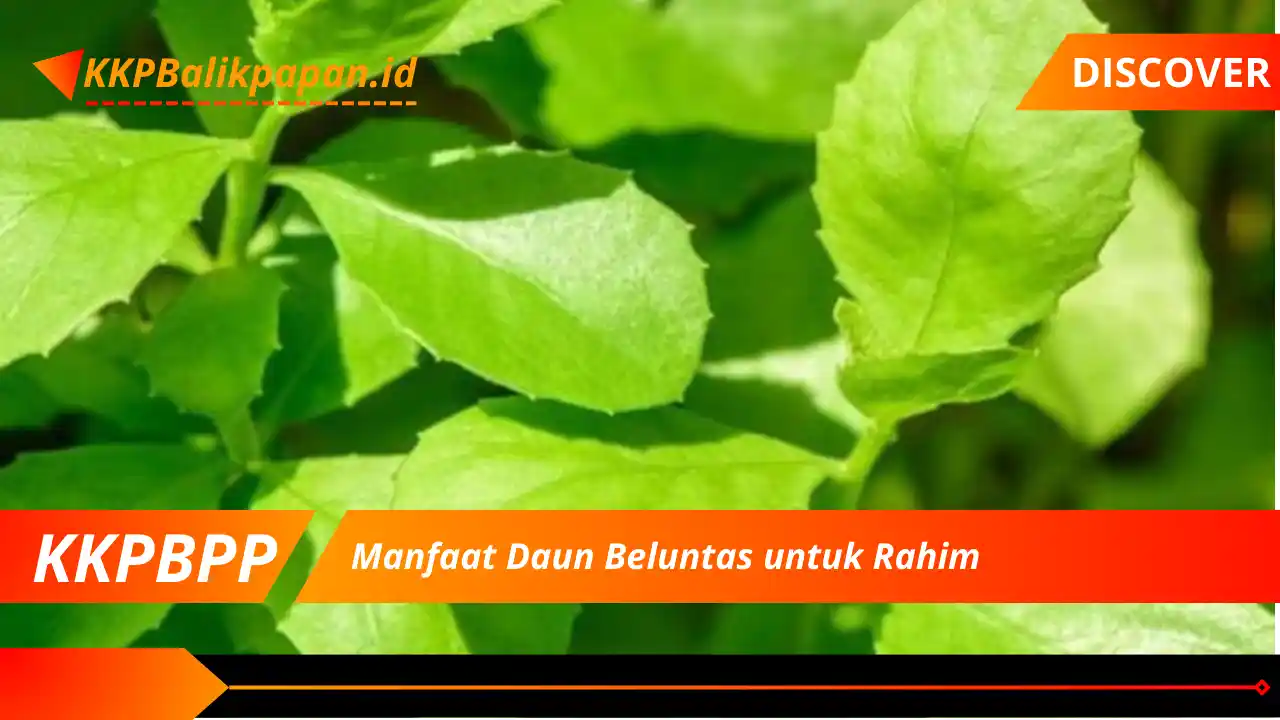 Manfaat Daun Beluntas untuk Rahim