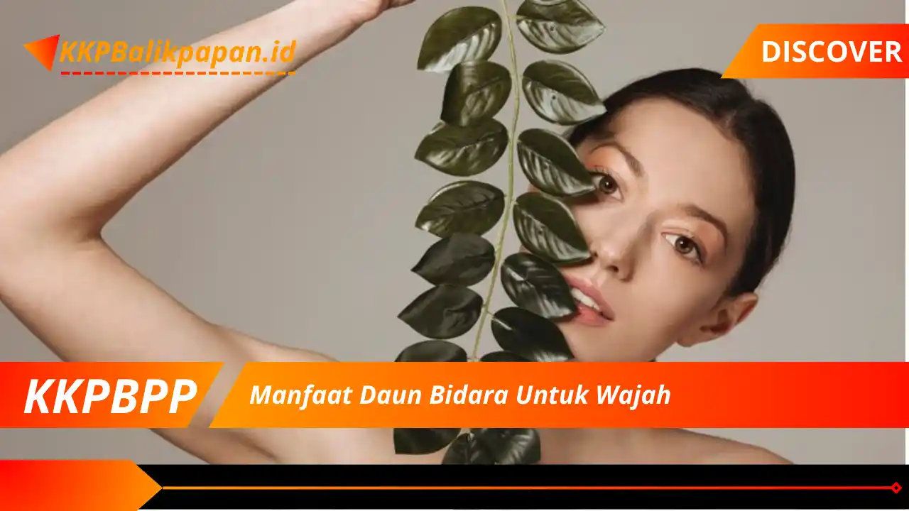 Manfaat Daun Bidara Untuk Wajah