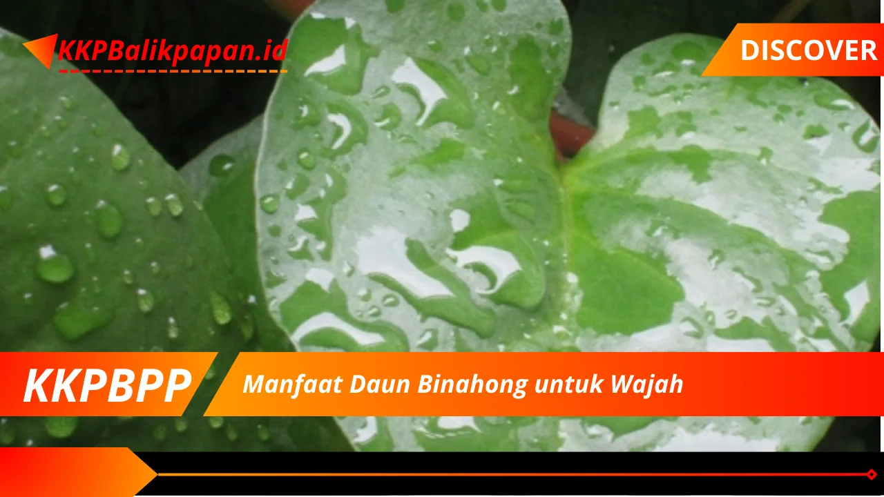 Manfaat Daun Binahong untuk Wajah