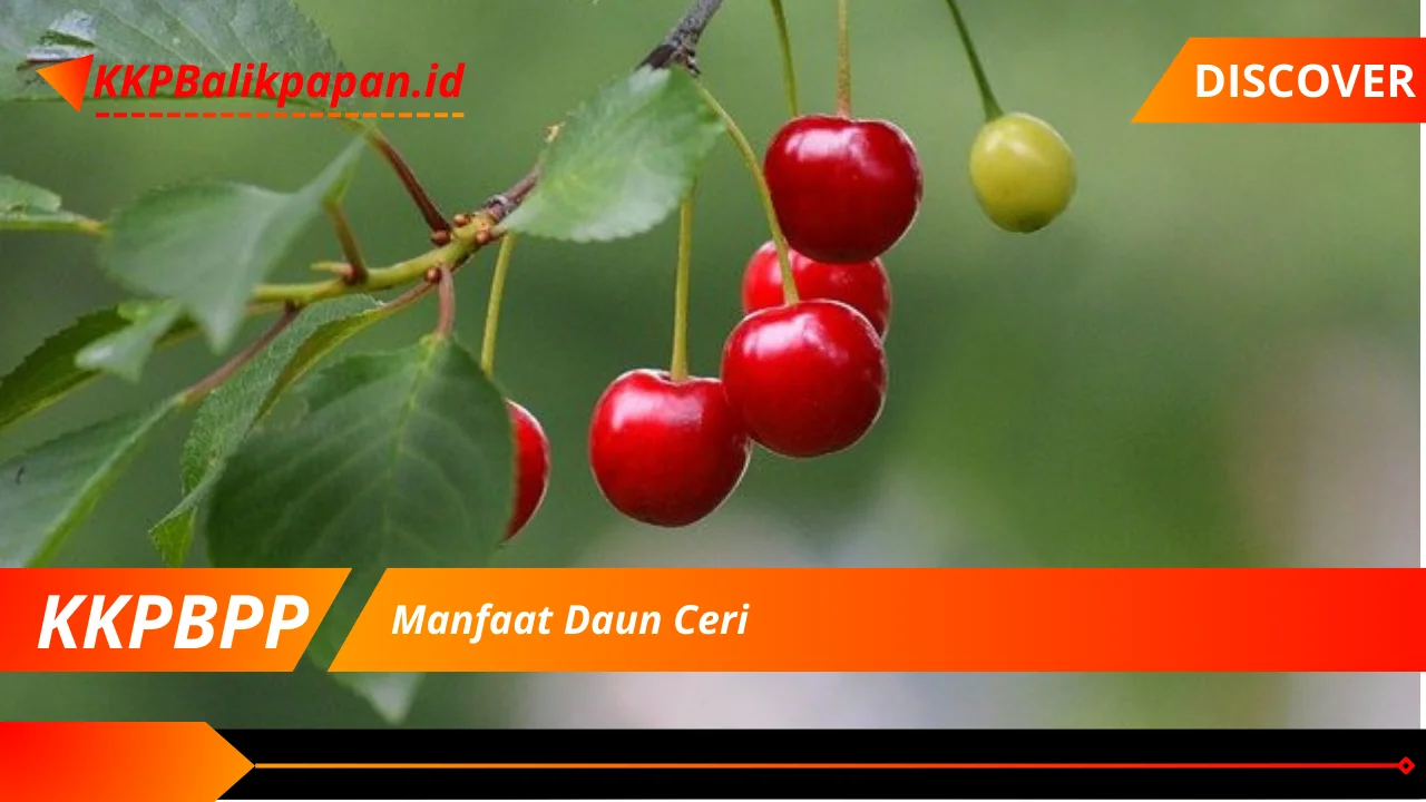 Manfaat Daun Ceri