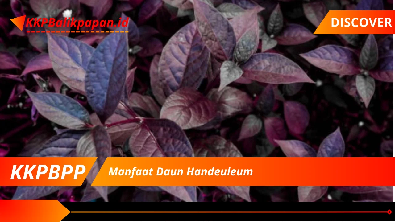 Manfaat Daun Handeuleum