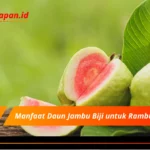 Manfaat Daun Jambu Biji untuk Rambut