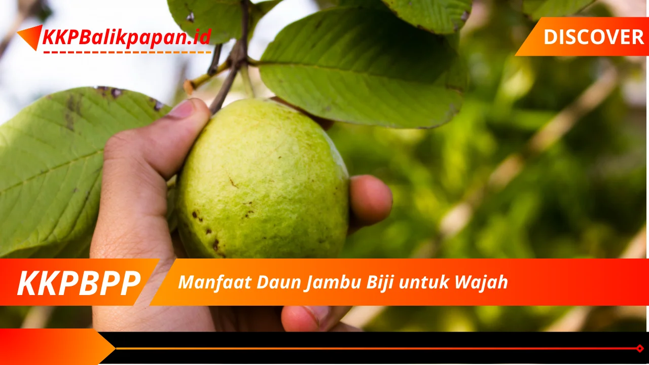 Manfaat Daun Jambu Biji untuk Wajah