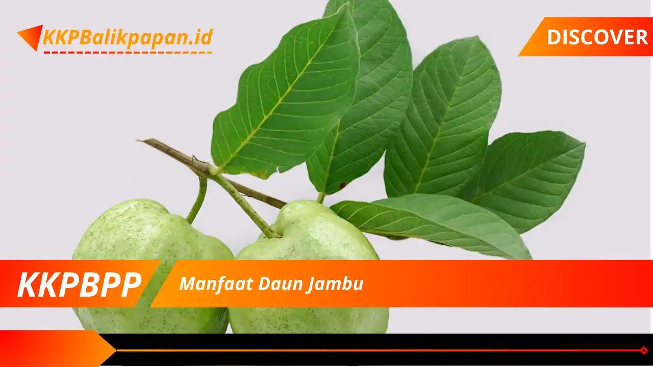 Manfaat Daun Jambu