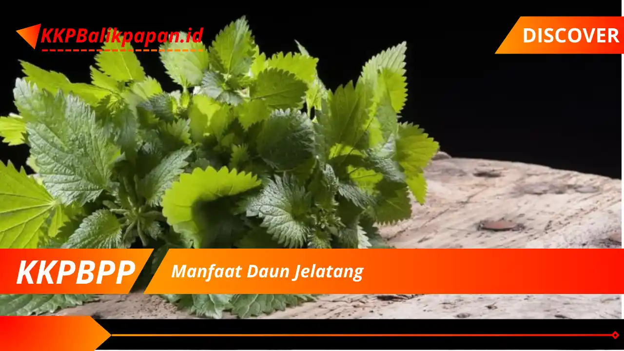 Manfaat Daun Jelatang