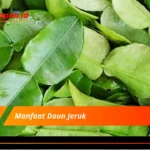 Manfaat Daun Jeruk