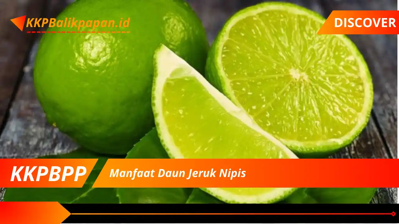 Manfaat Daun Jeruk Nipis