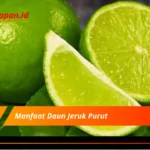 Manfaat Daun Jeruk Purut