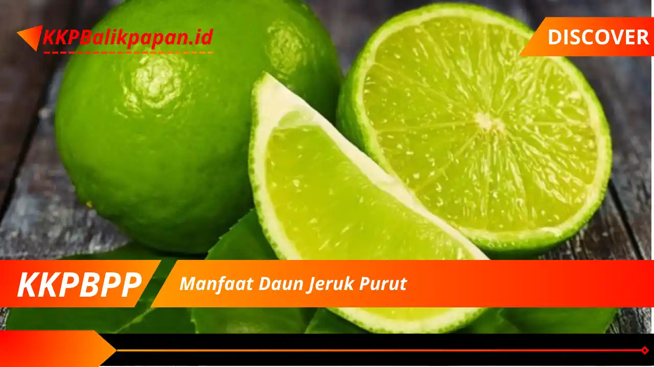 Manfaat Daun Jeruk Purut