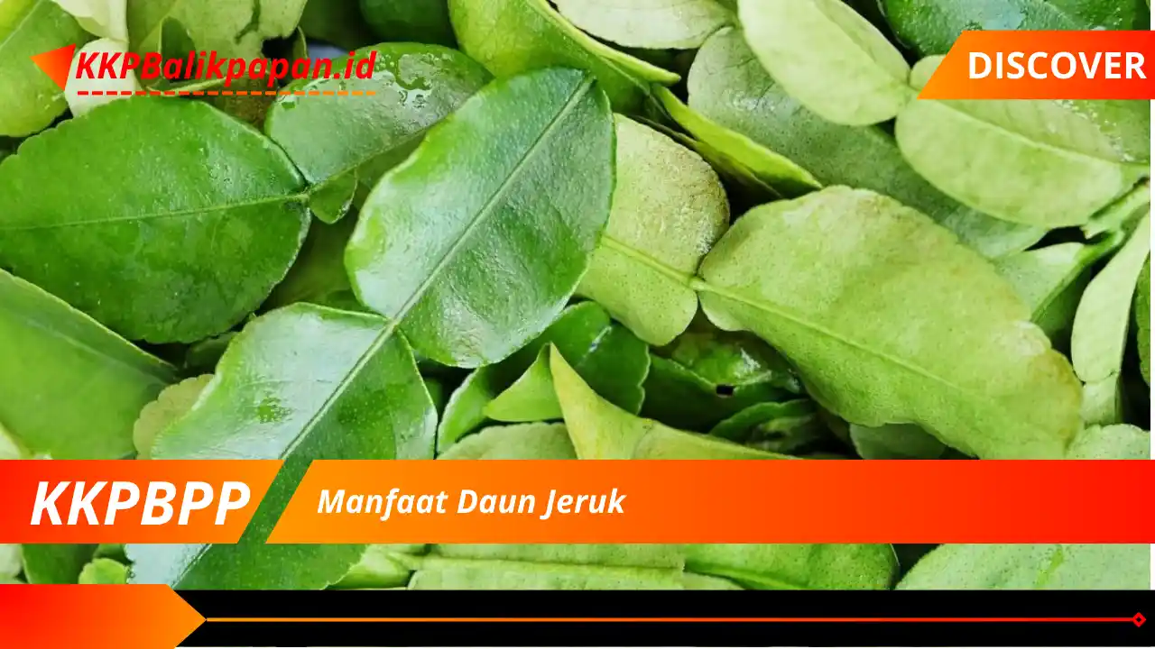 Manfaat Daun Jeruk