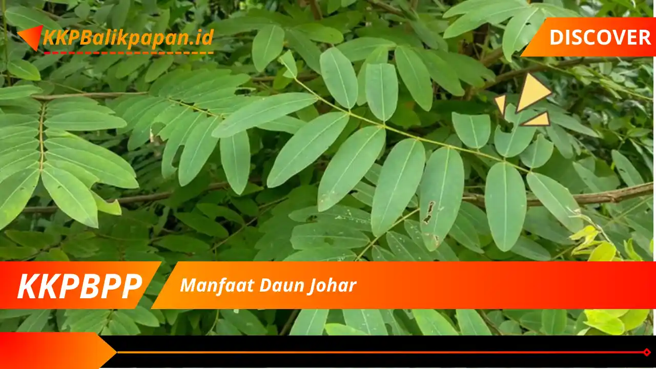 Manfaat Daun Johar