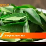 Manfaat Daun Kari