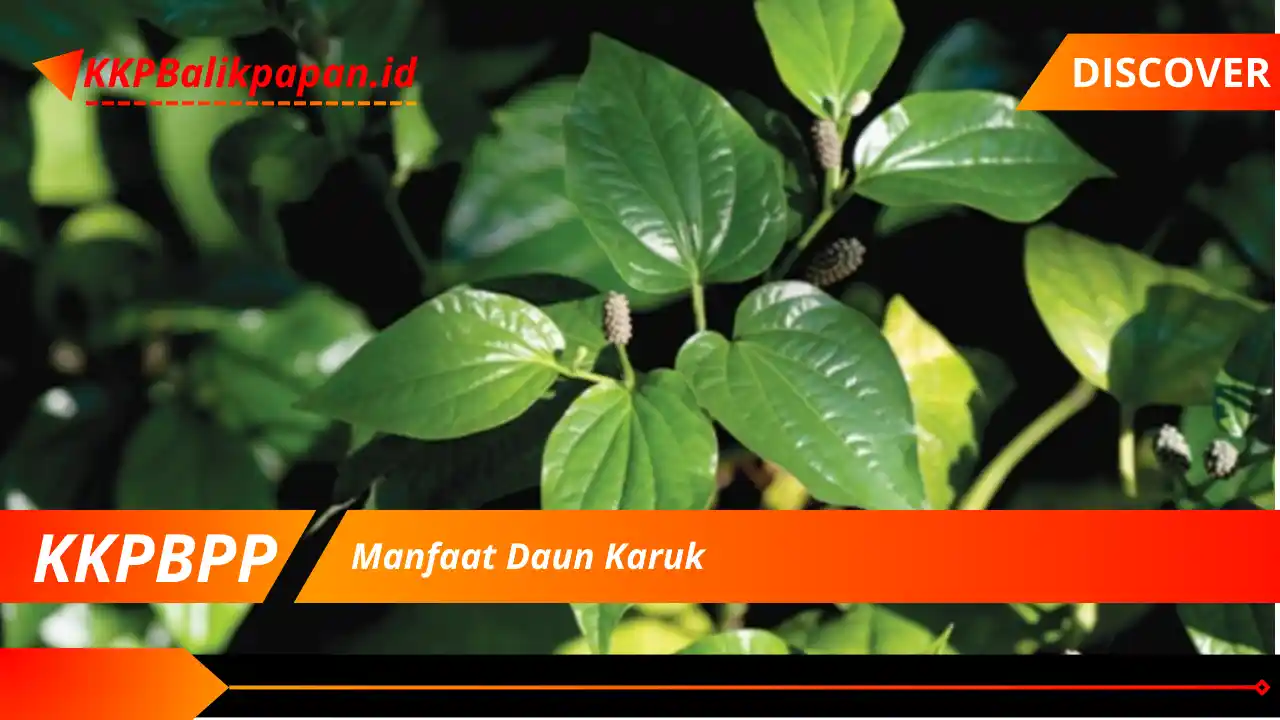 Manfaat Daun Karuk