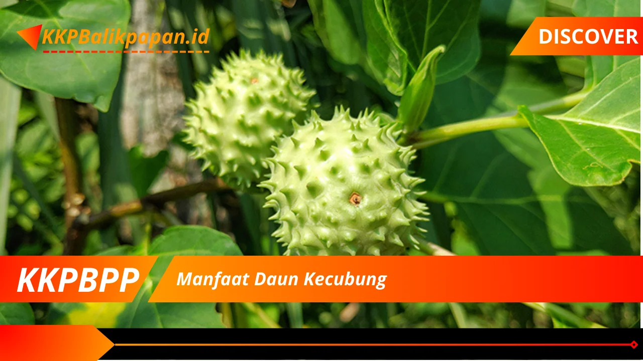 Manfaat Daun Kecubung